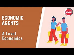 Economic Agents Video Lecture - Grade 12
