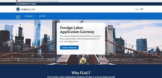 Video 7: Logging into FLAG