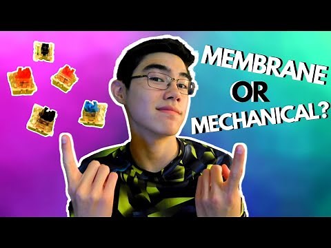 Outemu Switches VS… Membrane?! Black, Blue, Brown, & Red Comparison to Membrane
