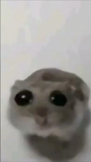 Sad mouse with violin