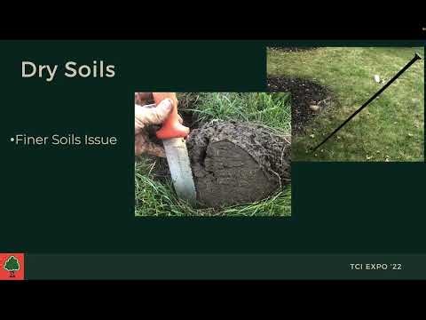 Foliar and Soil Analysis for Arborists