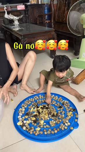Nay nở thêm trăm trứng còn hơn trăm trứng trong máy vài hôm nữa unbox tiếp ạ 🥰🥰🥰 | Chan Chan
