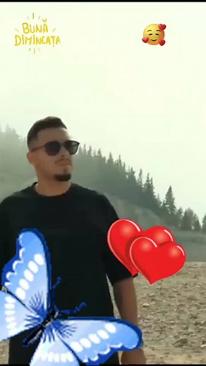 Exploring Nature with Blue Butterfly Graphics