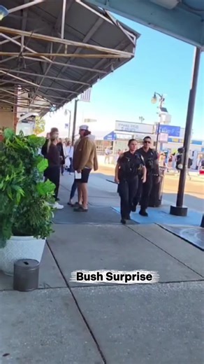 The Hilarious Tree Incident