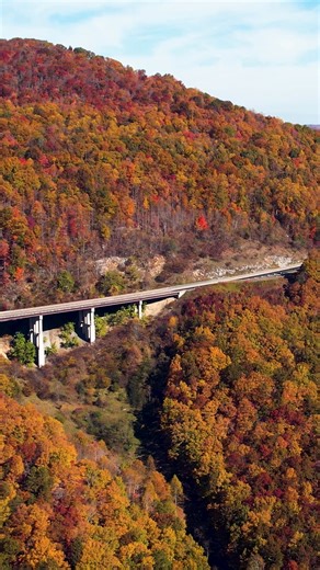 Amazing fall colors around Virginia's Powell Valley. | Ben Childers