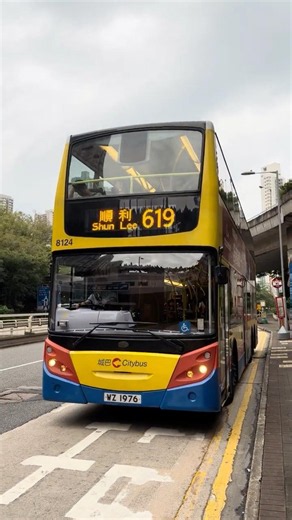[大特見!!!] WZ1976 Citybus 城巴 E500 原色歐四鐵甲 8124 行走619 #巴士#城巴#ctb#歐四#特見#8124#E500#WZ1976#619