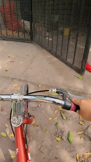 Videos de Justin (@judith.centeno61) con “original sound - ThatSnowBiker”