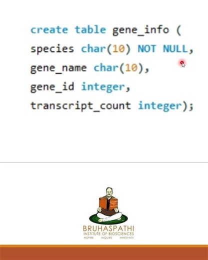 NOT NULL Constraint in SQL Explained | DBMS Basics for Beginners and MSc Students