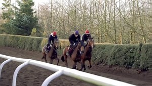🎥 A look behind the scenes during a routine morning at the Hill | Joseph O'Brien Racehorse Trainer
