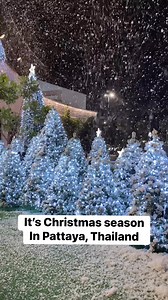 Christmas trees and snow setup. Looks cool. | Journey Beyond Borders