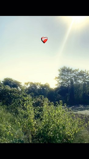 14K views · 60K reactions | Line… @alone_lyrics_58 | Alonelyrics58 | Facebook