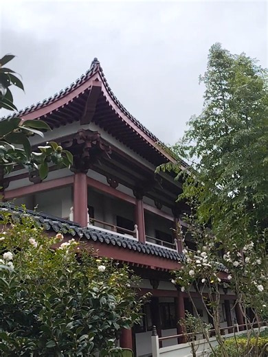 Auckland Fo Guang Shan Buddhist Temple #auckland #newzealandtravel #thisisnz #newzealand🇳🇿