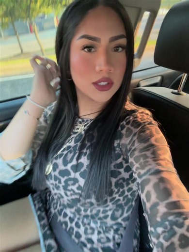 Exploring Drake's Music with a Cheetah Theme