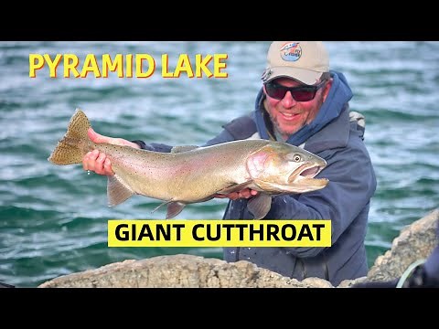 Pyramid Lake Giants