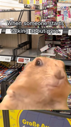 Meme Funny Pyro #foryou #fireworks #viral #pyro #feuerwerk