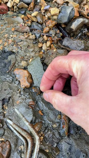 Lead Shot Musket Ball Found on London Thames Foreshore