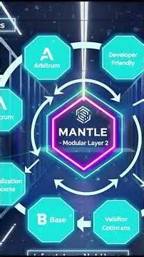 Mantle History Part 3 | MNT Growth & Future