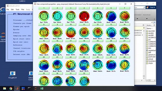 ERP/EEG脑电数据处理流程及实操过程