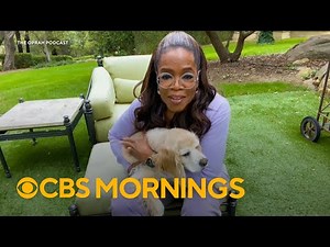 New miniseries highlights bond between dogs and their owners