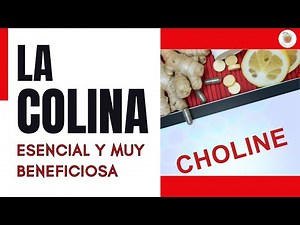 LA COLINA: Funciones y 7 Beneficios para tu SALUD