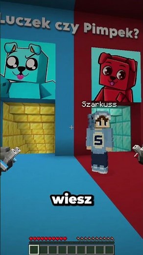 LUCZEK czy PIMPEK?🐶💙❤️ NIE WYBIERZ ZŁEJ ZJEŻDŻALNI W MINECRAFT! #minecraft #luczek