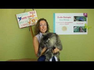 attention aux chats sibériens: gentils, mignons, mais pas que...