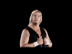 Top 15 Barry Windham Matches