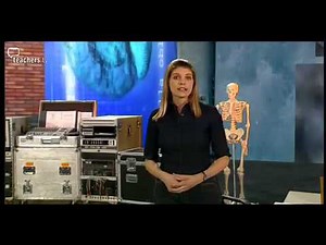 Genetic Engineering S113LS01