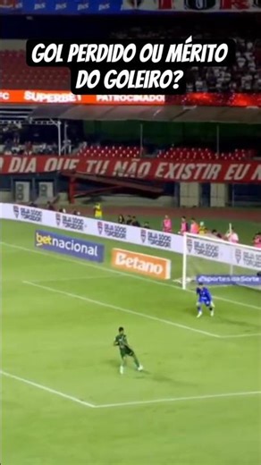 GOL PERDIDO OU MÉRITO DEFESA?! #saopauloxpalmeiras #porco #palmeiras