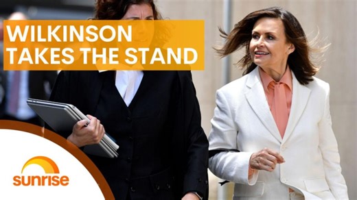 Lisa Wilkinson takes the stand