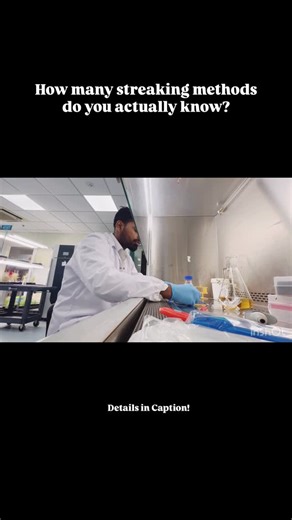 Abhay Mishra | Academic Advisor on Instagram: "Follow @thatcoolprofessor 🎖️How many streaking methods do you actually know? 👀🧫 Most people stop at the quadrant streak, but microbiologists have turned this into a full-blown art form! 🎨 There’s the T-streak, continuous streak, radiant streak, parallel streak, three-sector, four-quadrant, zig-zag, and even cross-streak used for testing antibiotic-producing microbes like Actinomycetes! 🔬 Each method has one goal — to isolate a single pure colon