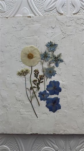 white & blue pressed wedding flowers 懶𢡄廉冀 ranunculus, nigella, orlaya, delphinium, & spirea made for the most romantic cloud of flowers ☁️ wedding flowers by @mollyoliverflowers | Framed Florals | Facebook
