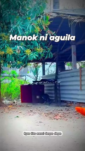 Degetal edetor on Reels