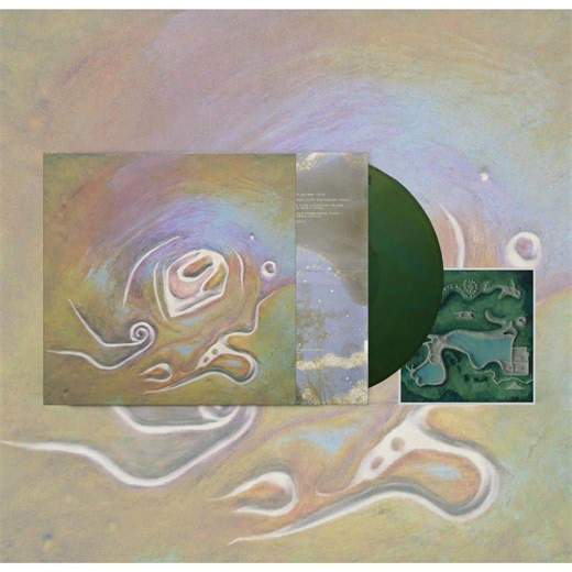 Bug Teeth - Micrographia