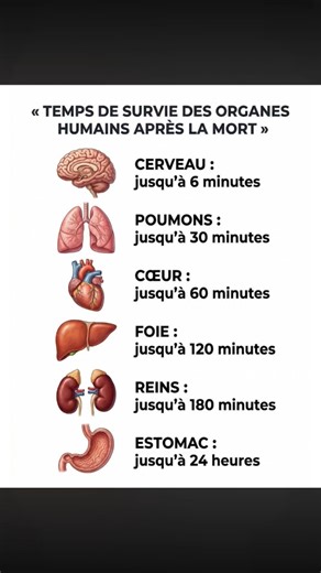 TEMPS. DE SURVIR DES ORGANES