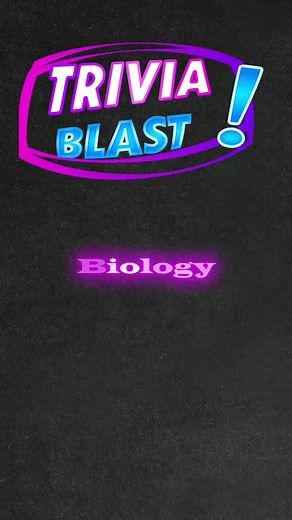 InQUIZitive Trivia on TikTok