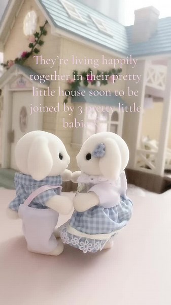 Adorable Rabbit Family Welcomes Three New Babies