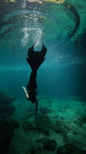 Couple spots open for my @paditv mermaid and advanced mermaid courses this Friday Sep 1st! ✨ ➡️ @mermaidfreedive 🧜‍♀️ @verobeachmermaid x @finfolkproductions | Vero Beach Mermaid