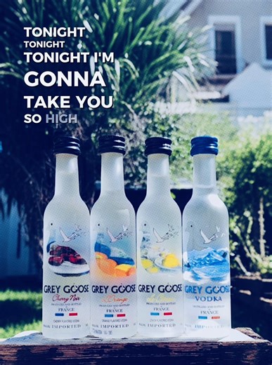 Discovering Grey Goose Vodka: A Premium Choice