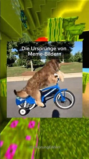 The Origins of Meme Images #16