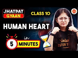 Human Heart Concept in 5 Minutes | Life Process Class 10 Science Chapter 6 | Jhatapat Gyaan