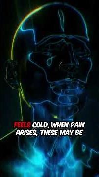 Meridian Wellness｜The Flow of Ki and the Basics of Meridians | Japanese Traditional Medicine