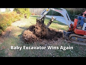 Takeuchi TB210R Stump Removal