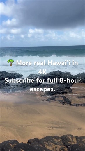 Kauaʻi's Wild Ocean 🌊