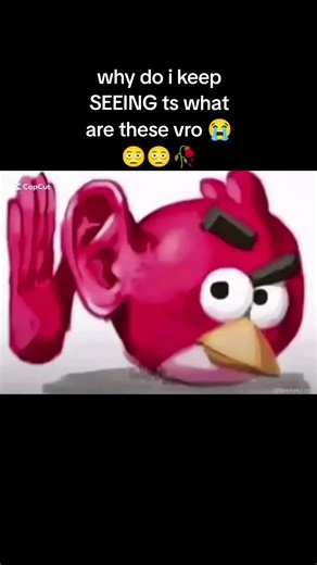 The Haunting Presence of an Innocent Image