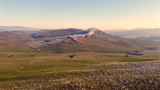 Environment, Nature, Bird. Free Stock Video