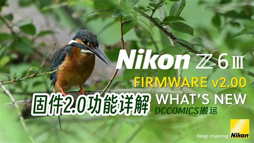 【尼康Z6III V2.00固件功能详解】新增鸟识别 动作拍摄等 中英字幕 #转载