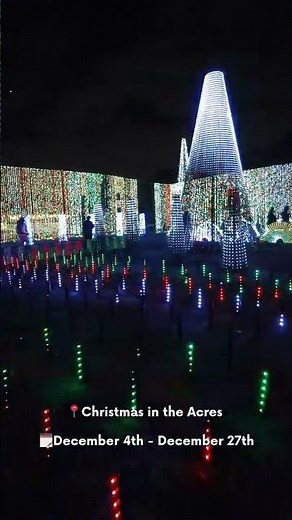 Your 2025 Fort Lauderdale Holiday Guide: Boat Parade, Light Shows & More