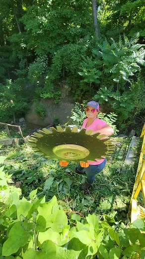 The stihl rotary scissors ✂️ work great for the thick stuff the trimmer can't cut. Follow us on YouTube 👇🏻 https://youtube.com/c/SpencerLawnCare | Spencer Lawn Care & Life