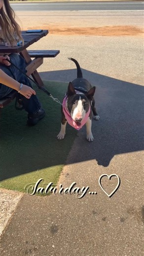 What amazing day in the Swan valley ❤️❤️🤩🤩 | Swan Valley Sisters
